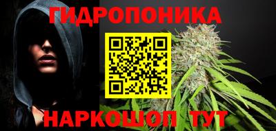 молекула духа Будённовск