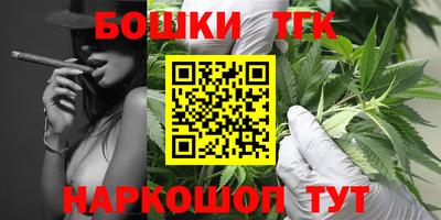 молекула духа Будённовск